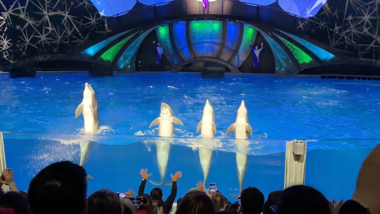 Dolphin show at Georgia Aquarium - North Carolina Diaries- Episode 97