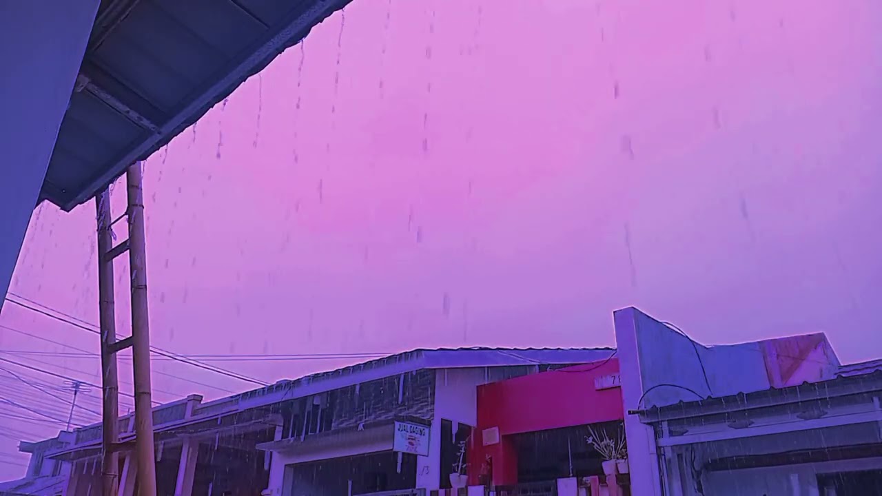 Hujan Deras di Sore Hari | Suara Hujan Untuk Tidur Nyenyak dan Mengusir Insomnia