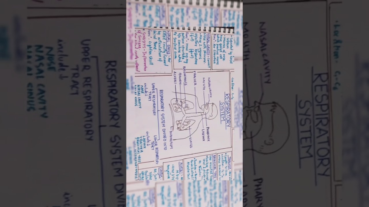 #Respiratory
