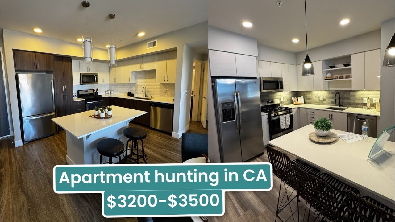 Поиск квартиры в округе Ориндж, Калифорния. 3200–3500 долларов. Edge, Eleven 10, Paloma.