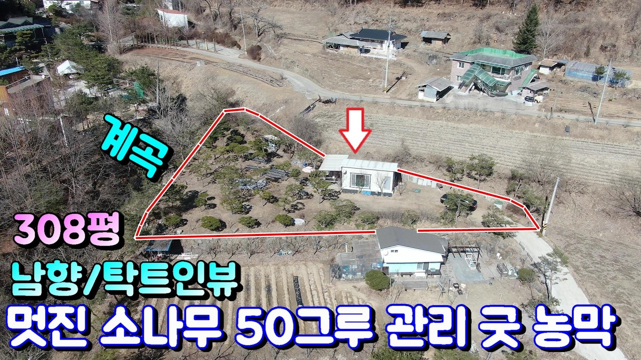 멋진 소나무 50그루 신고된 농막 토지 옆 계곡 흐름 햇살 가득 남향 탁트인 뷰 가족의 주말 농막 / 홍천농막급매물 / 홍천농막매매 / 홍천농막