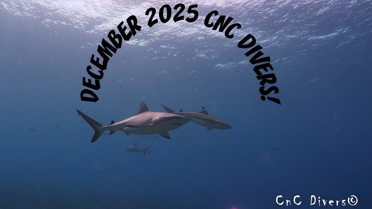What'd you do Last Month? December 2025!