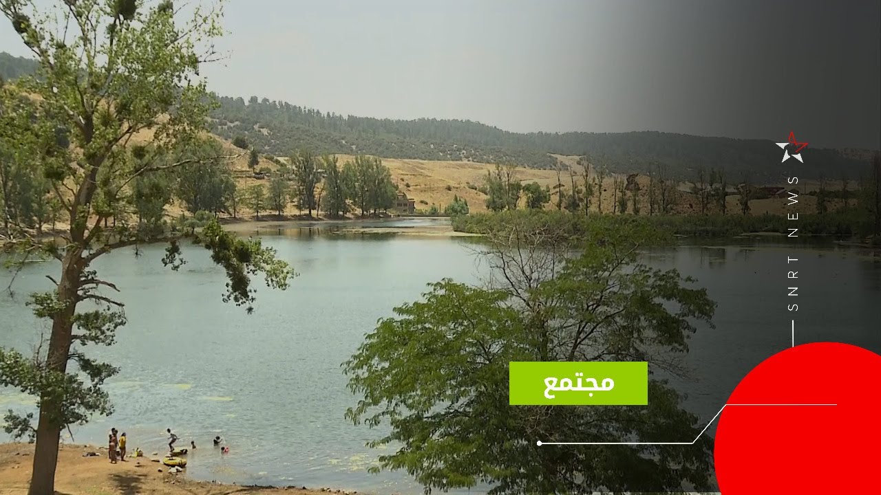 حرائق الغابات.. وقاية وتحسيس