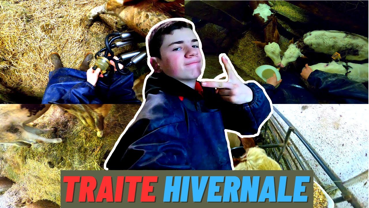 TRAITE HIVERNALE