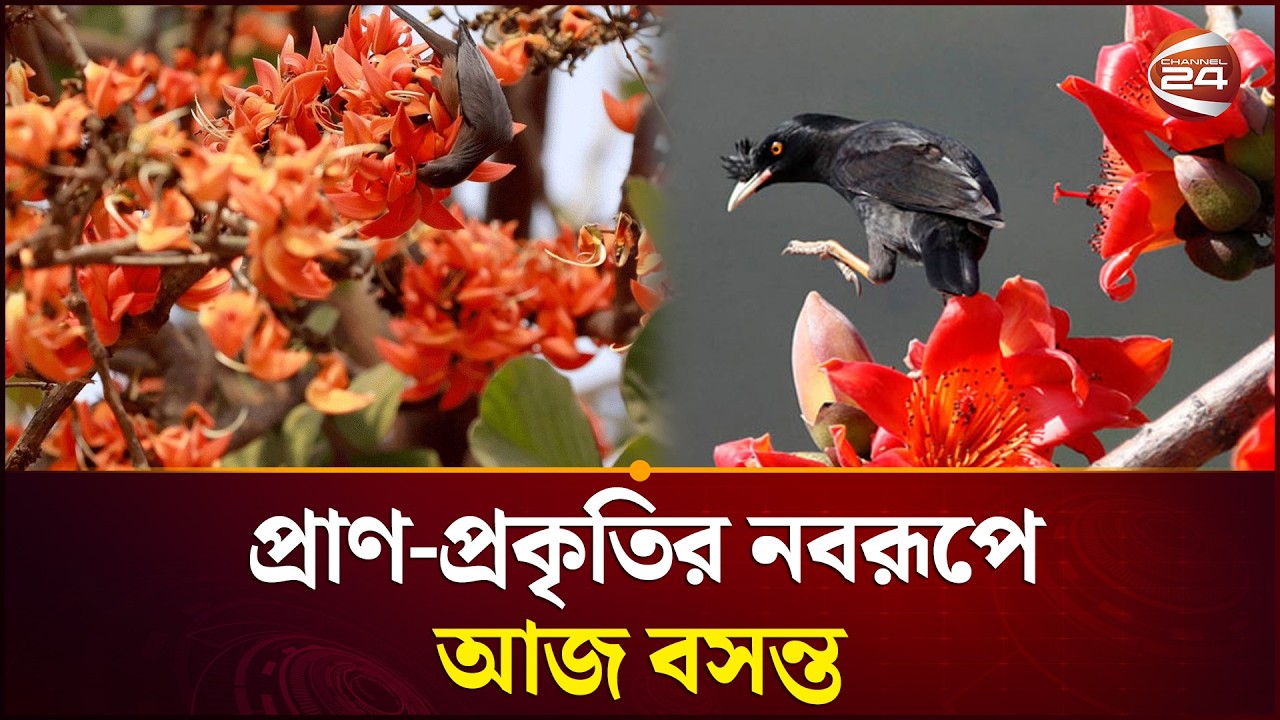 ভালোবাসা, আশা আর নবসূচনার বার্তা নিয়েই এলো বসন্ত | Spring In Bangladesh | Pahela Falgun | Channel 24