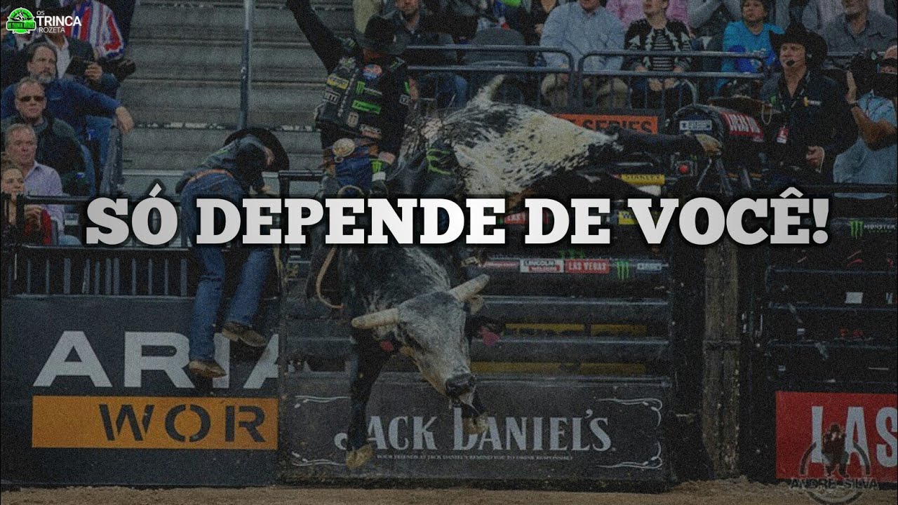 Motivacional - Atitudes | 2019
