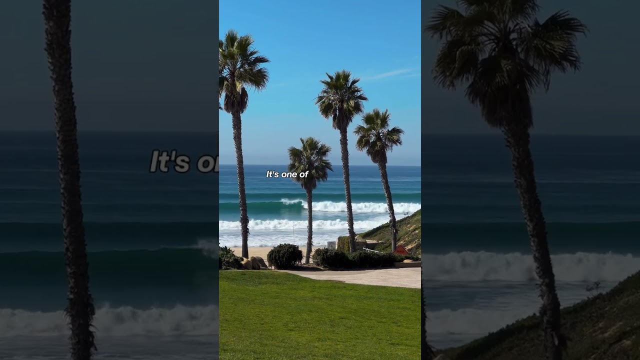 Fletcher Cove Park: The Local Routine Before the Beach