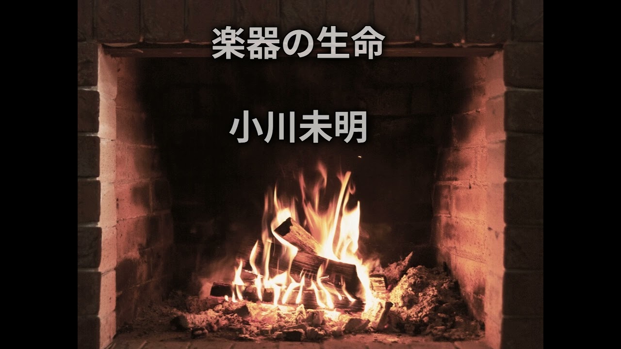 『楽器の生命』小川未明【朗読】