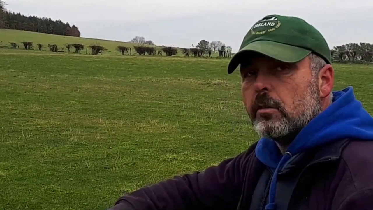 How to Train a sheepdog for trials