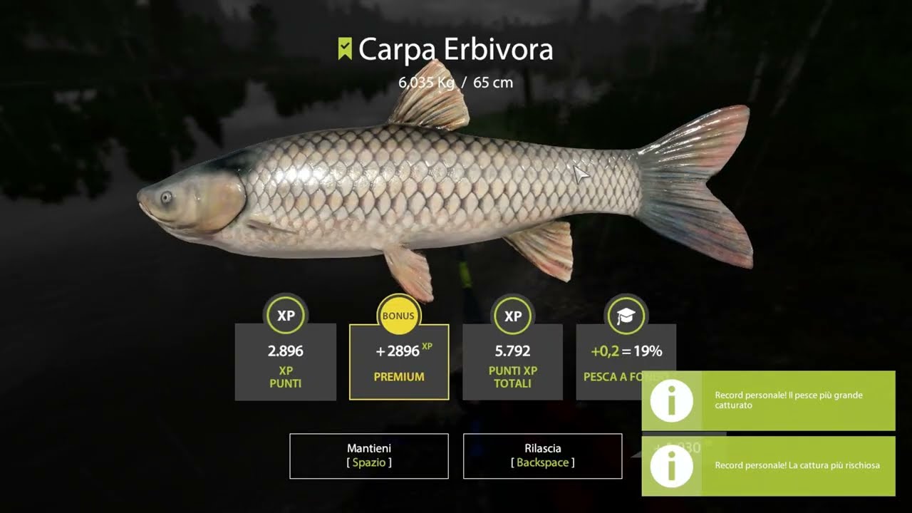 russian fishing 4 carp spot oldbrug lake