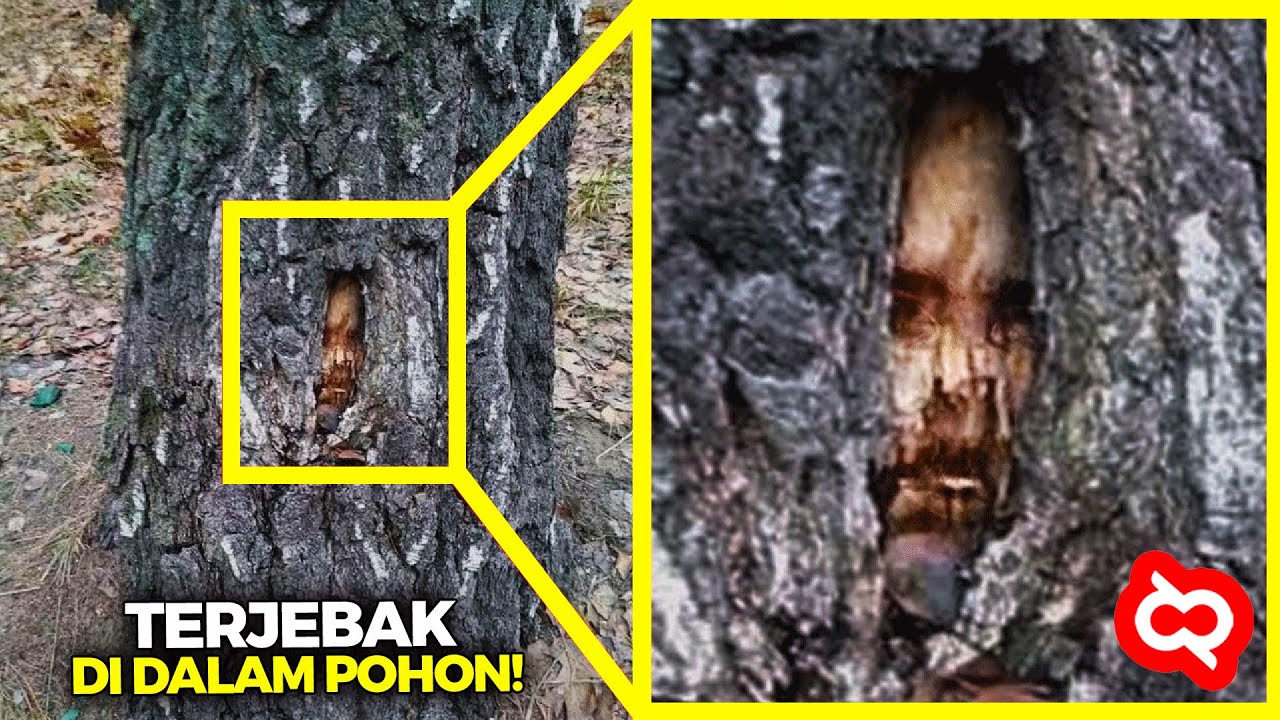Bertahun-Tahun Menghilang! Kisah Orang yang Akhirnya Ditemukan Setelah Hilang Secara Misterius