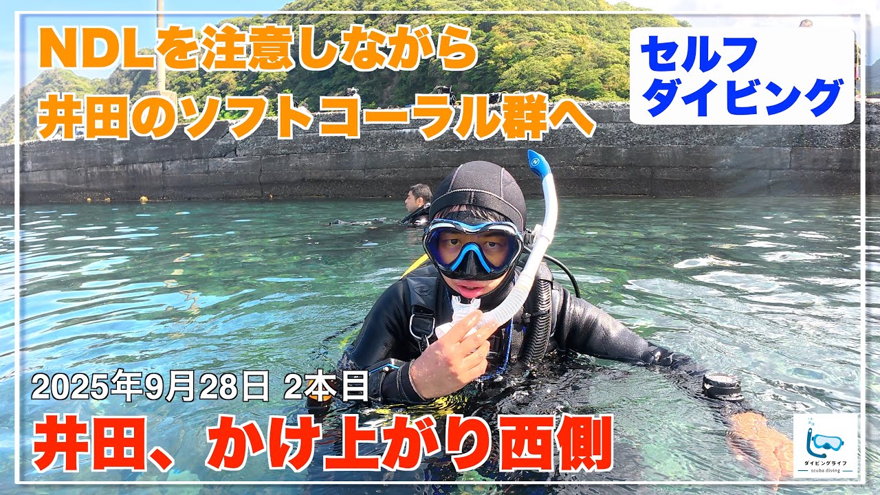 セルフダイビングでNDLを注意しながら井田のソフトコーラルを楽しんできました【伊豆ダイビング/スキューバダイビングvlog】