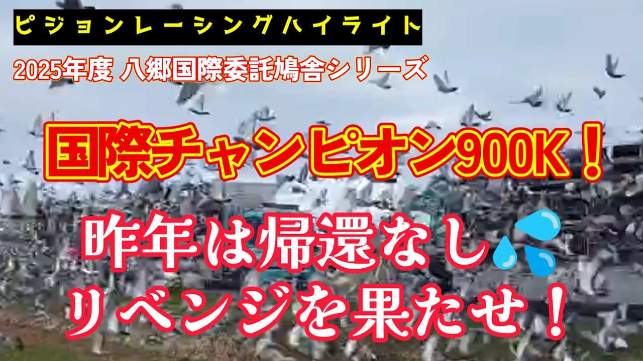 2025年度「八郷国際チャンピオン900Kレース」ハイライト！