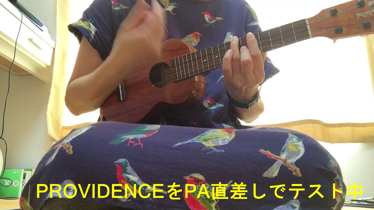 ウクレレの音色はシールドでこんなに変わる！ピエゾ式ピックアップの悩みを解決