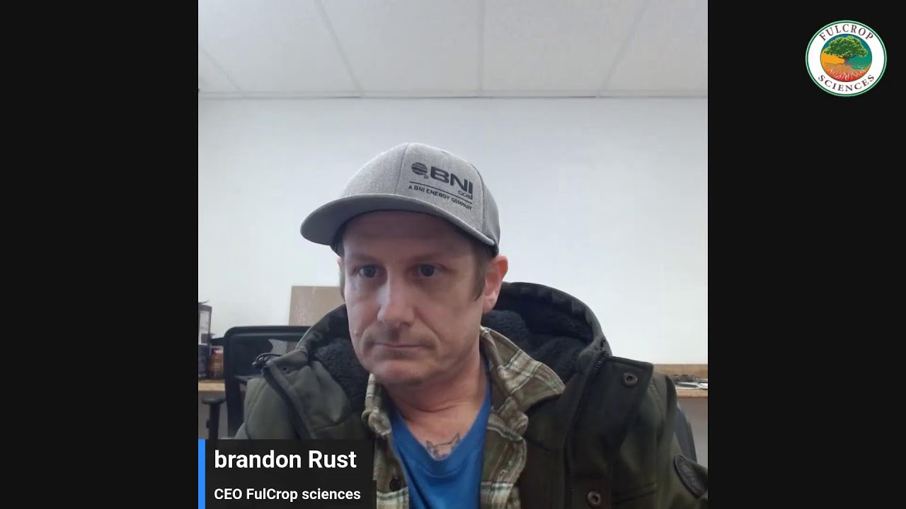 live Q&A
