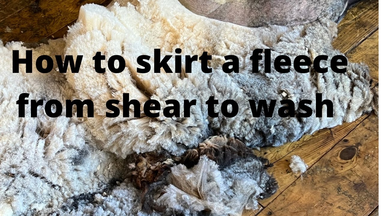 How to skirt a fleece from start to ready to wash @Matti Makes