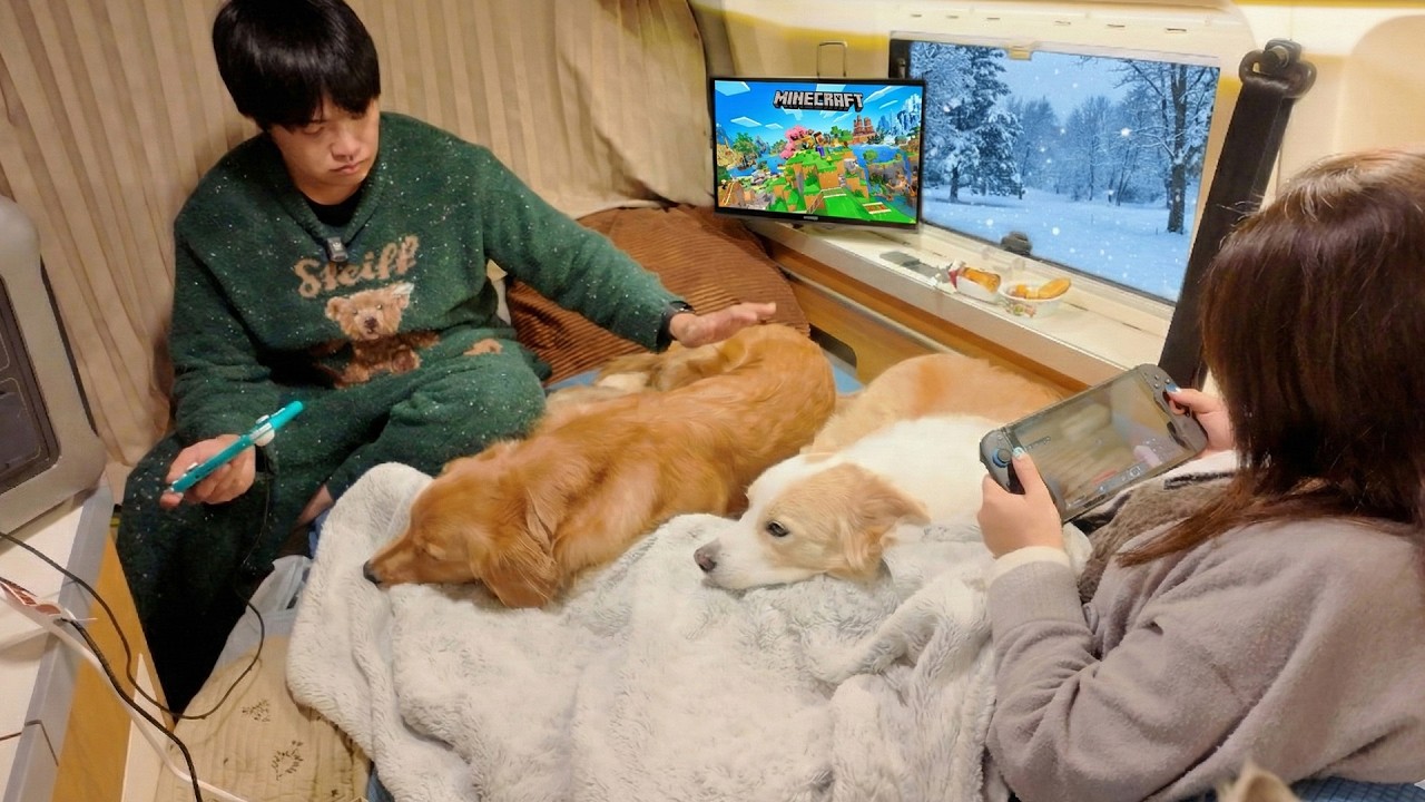 福島→愛知 8時間700km帰省車中泊｜豪雪の新潟で超有名ラーメンを食す｜雪の壁で囲まれた道の駅で趣味に没頭する夜