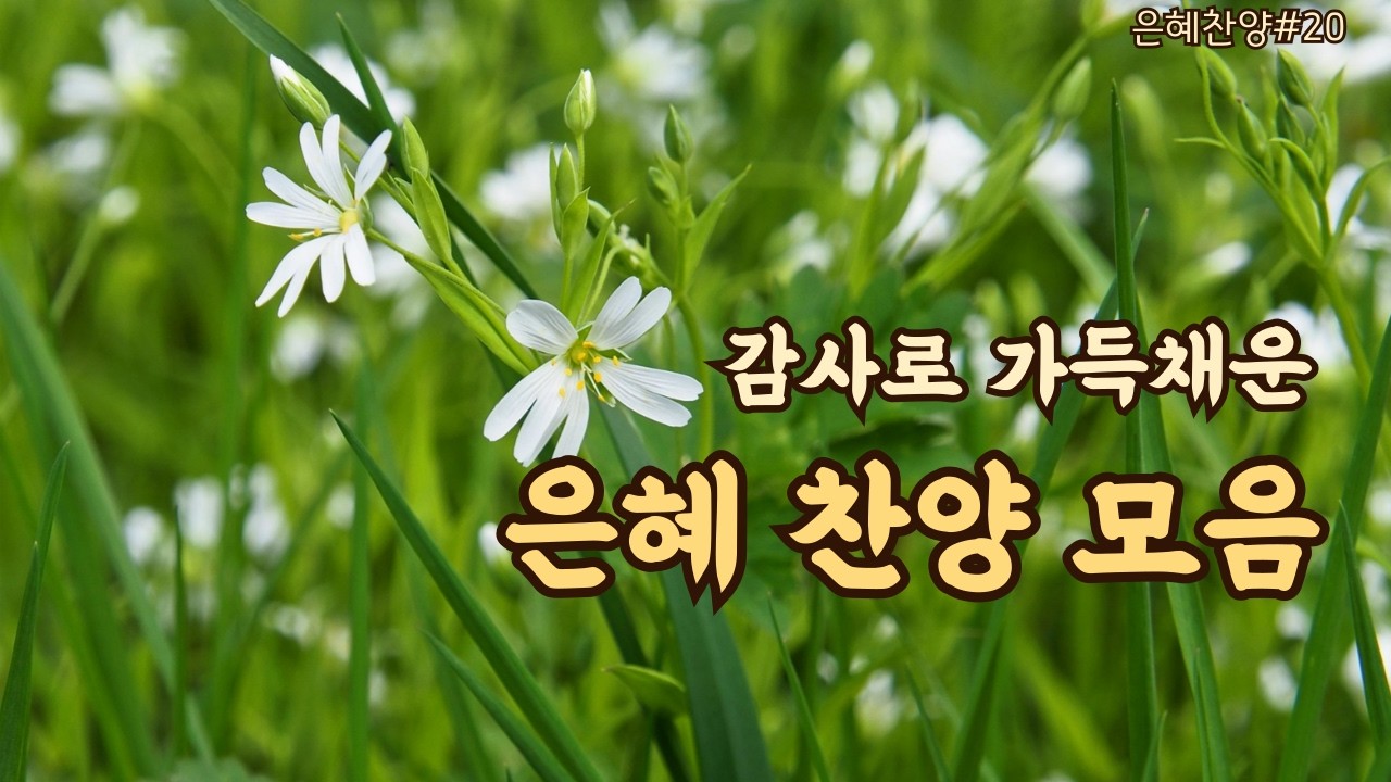 주님께 드리는 은혜가 넘치는 감사찬양 | 마음이 평안해지는 감사 찬양