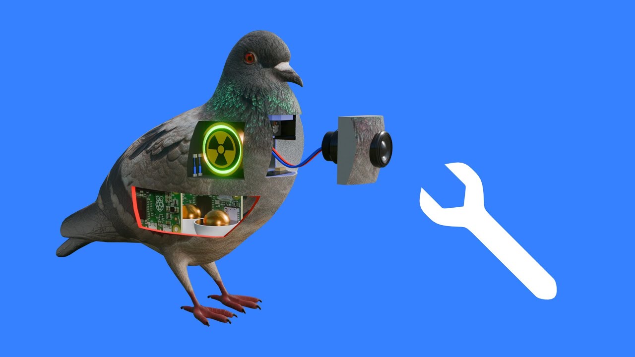 How to Fix a Bird