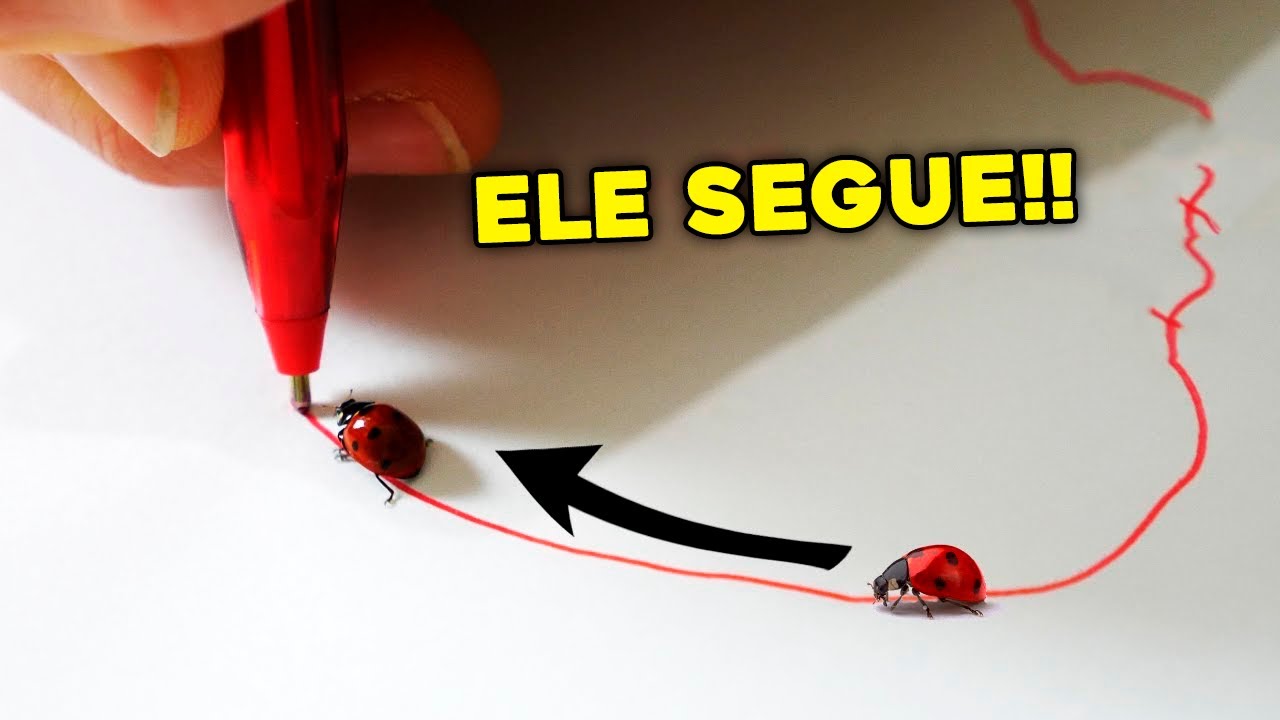EXPERIMENTOS BIZARROS com BESOUROS!!!