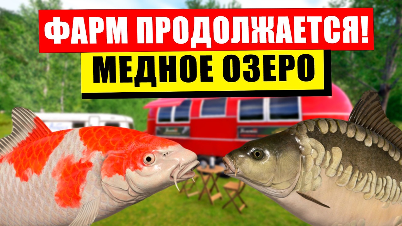 ПРОДОЛЖАЕТСЯ ФАРМ • МЕДНОЕ ОЗЕРО • Русская Рыбалка 4 РР4