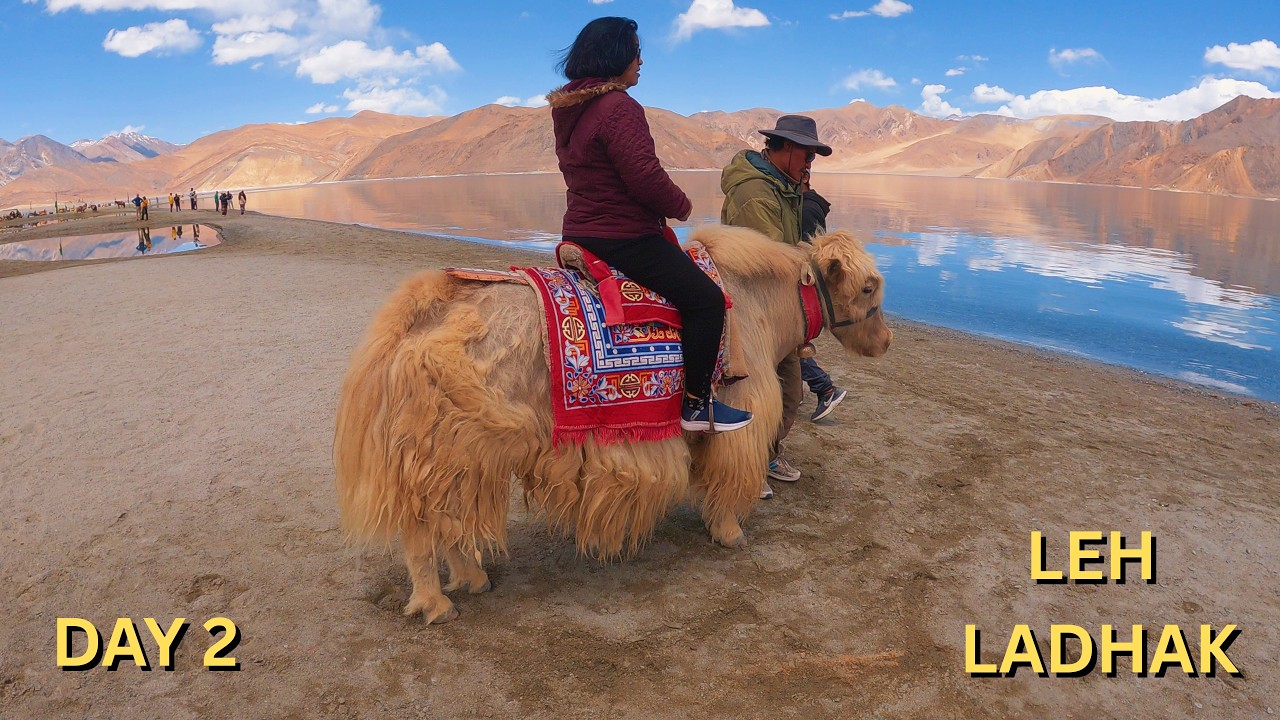 Leh Ladakh Trip Day 2 | Exploring Leh Mountains | Complete Leh Ladakh Travel Series