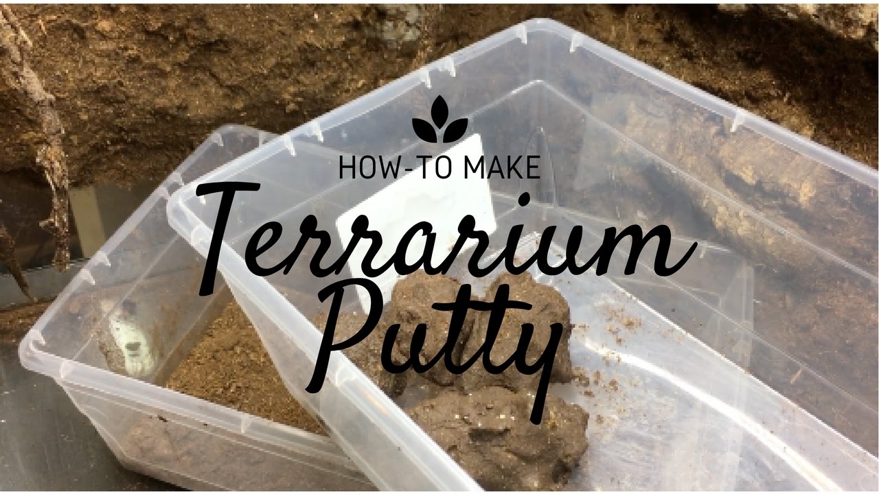 How to make - Terrarium Putty