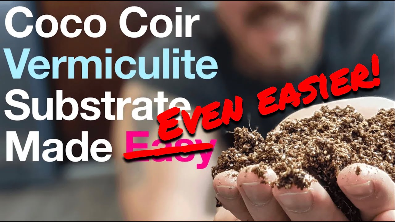 CVG Substrate Made Even Easier! Grow Mushrooms at Home in a Monotub - Coco Coir, Vermiculite, Gypsum