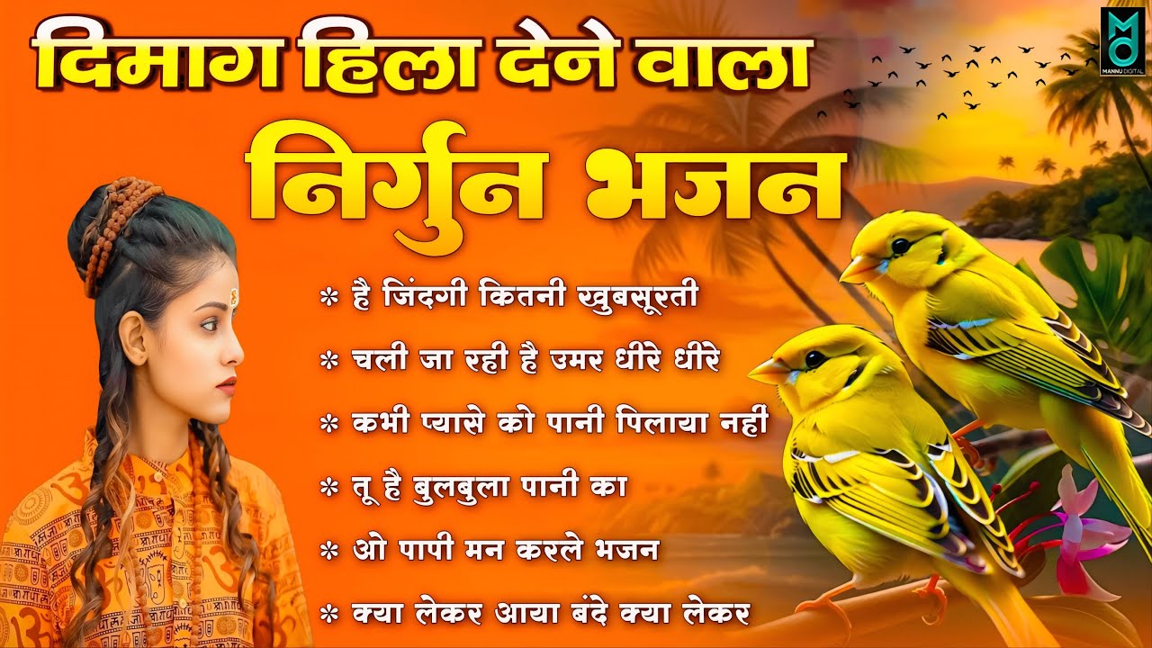 दिमाग हिला देने वाला निर्गुण भजन | Nonstop Nirgun Geet | Chetawani Bhajan 2025 | Nirgun Bhajan 2025