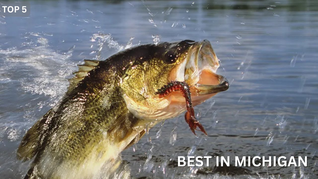 Fishing The TOP Smallmouth & Largemouth Lakes In Michigan