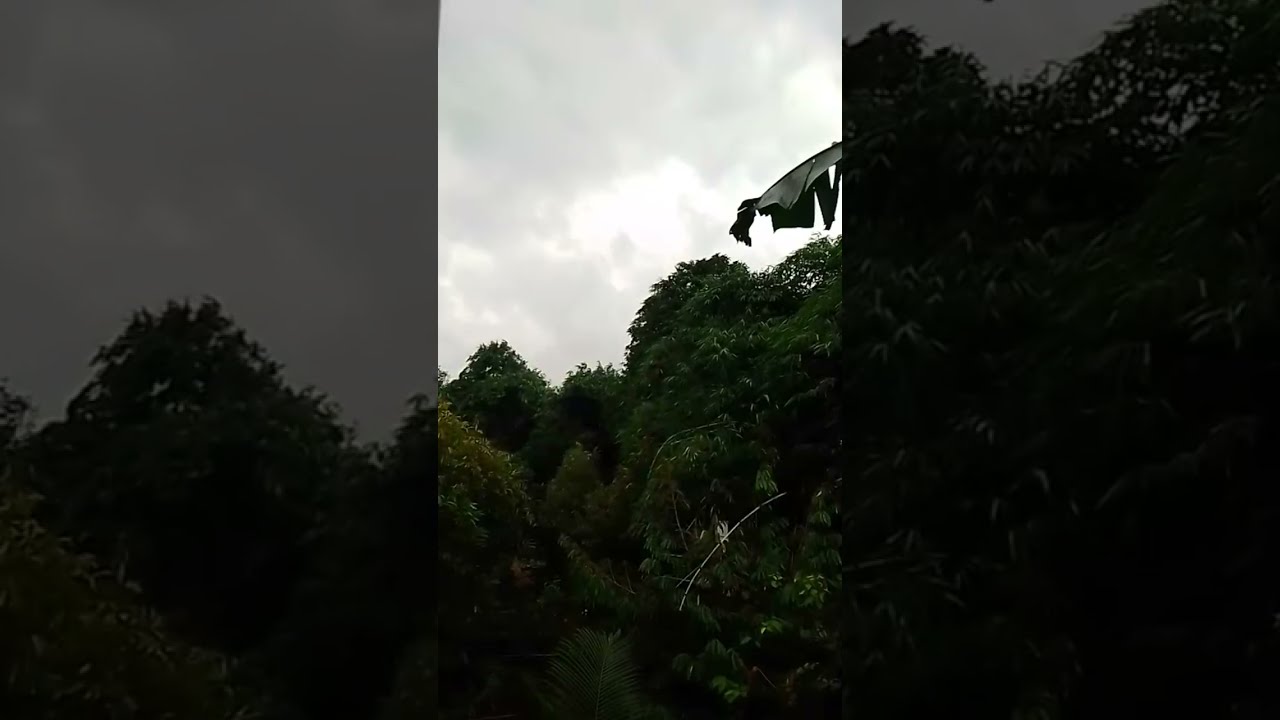 Keindahan alam pertanian dan perkebunan palawija