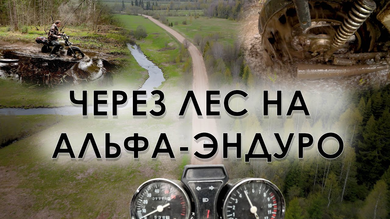 Весеннее бездорожье на альфе-эндуро