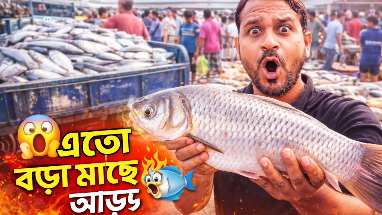 বিশাল মাছের আড়ৎ ভ্রমণ | জগদীশপুর মির্জাপুর মাছের আড়ৎ | মাধবপুর হবিগঞ্জের সবচেয়ে বড় মাছ বাজার🐠🐟🐟🐠