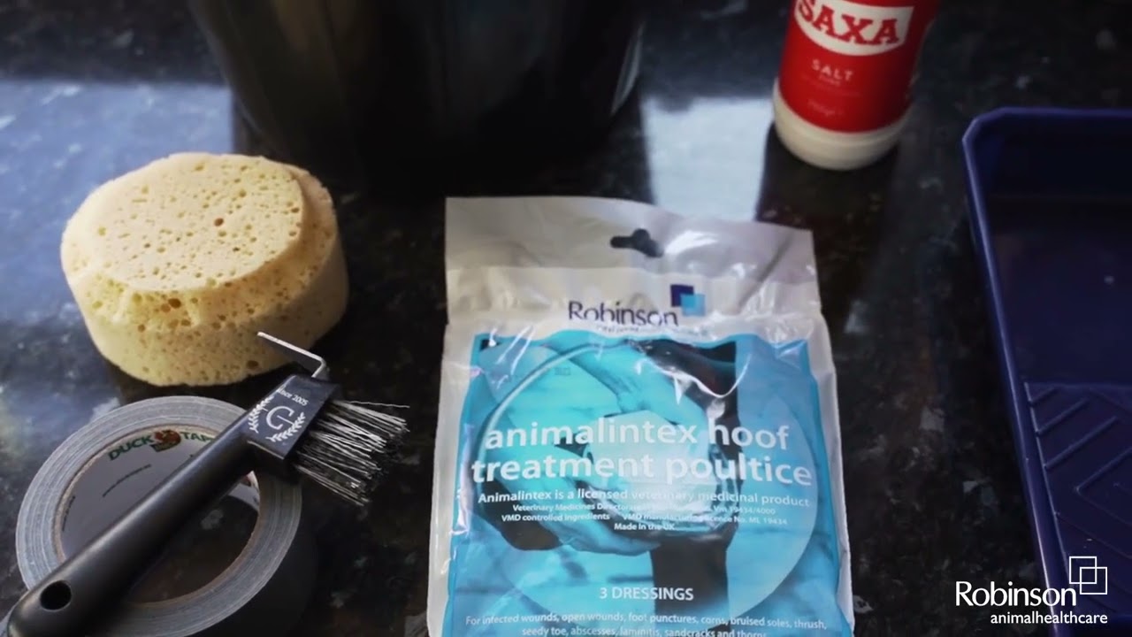 Hoe plaatst u een Animalintex hoefkompres? www.dierapotheker.nl