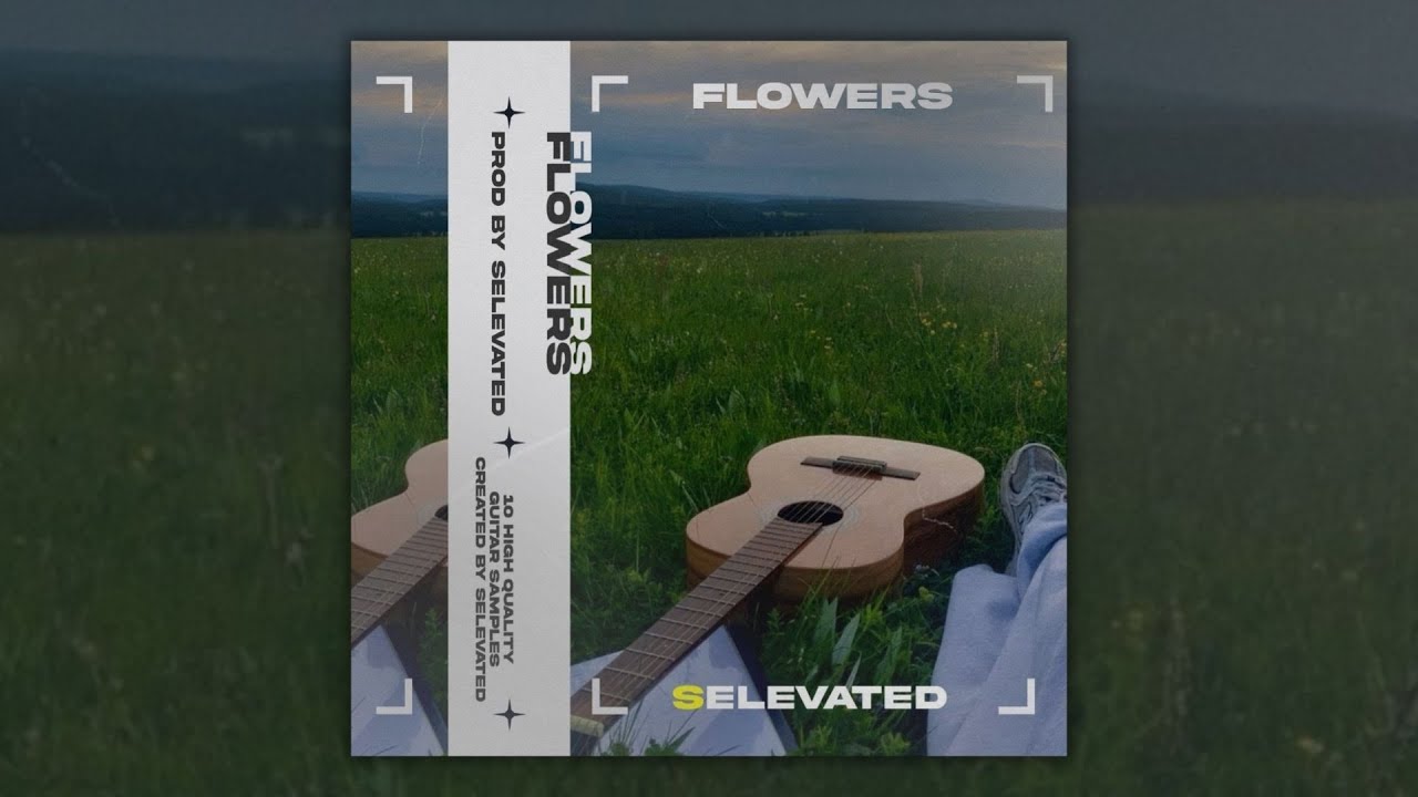 (FREE) Afrobeat Loop Kit/ Guitar Sample Pack 2025 &ldquo;Flowers&rdquo; - (Afro, R&B, Guitar Loop Kit)
