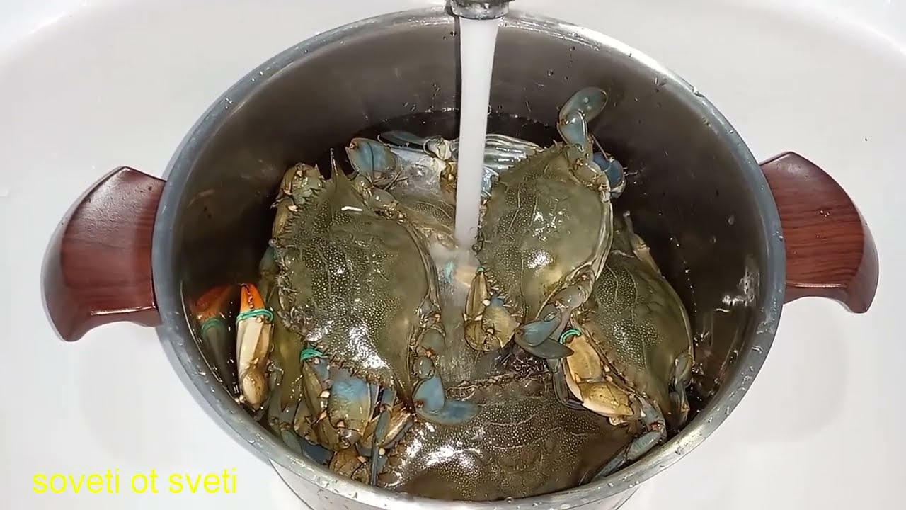 Как Приготовить КРАБА. Варка и Разделка