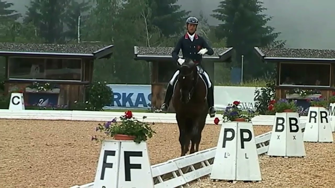 Carl Hester & Dances With Wolves (Donnerschwee) - Manfred & Hilde Swarovski Fritzens, Intermédiaire