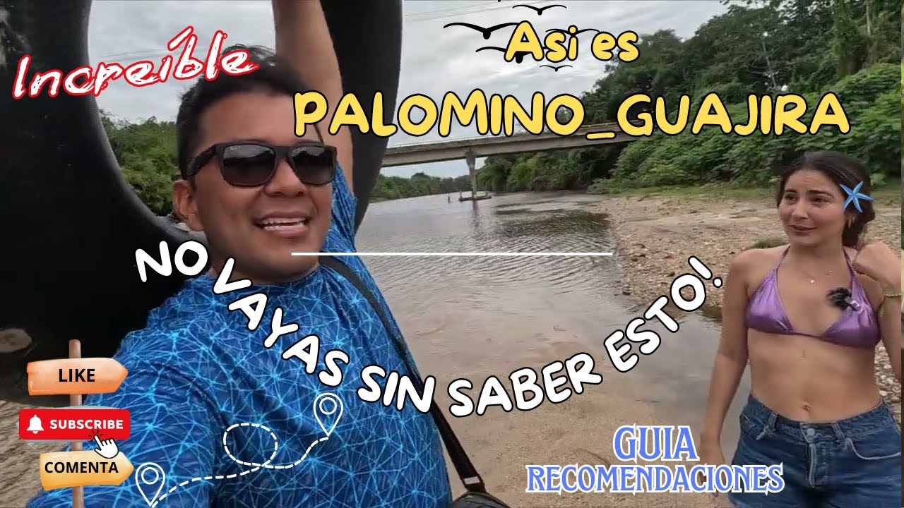 PALOMINO-GUAJIRA, conoce la guía y recomendaciones completa ✨🍃