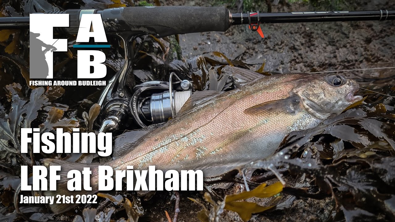 LRF Fishing at Brixham - January 21st 2022