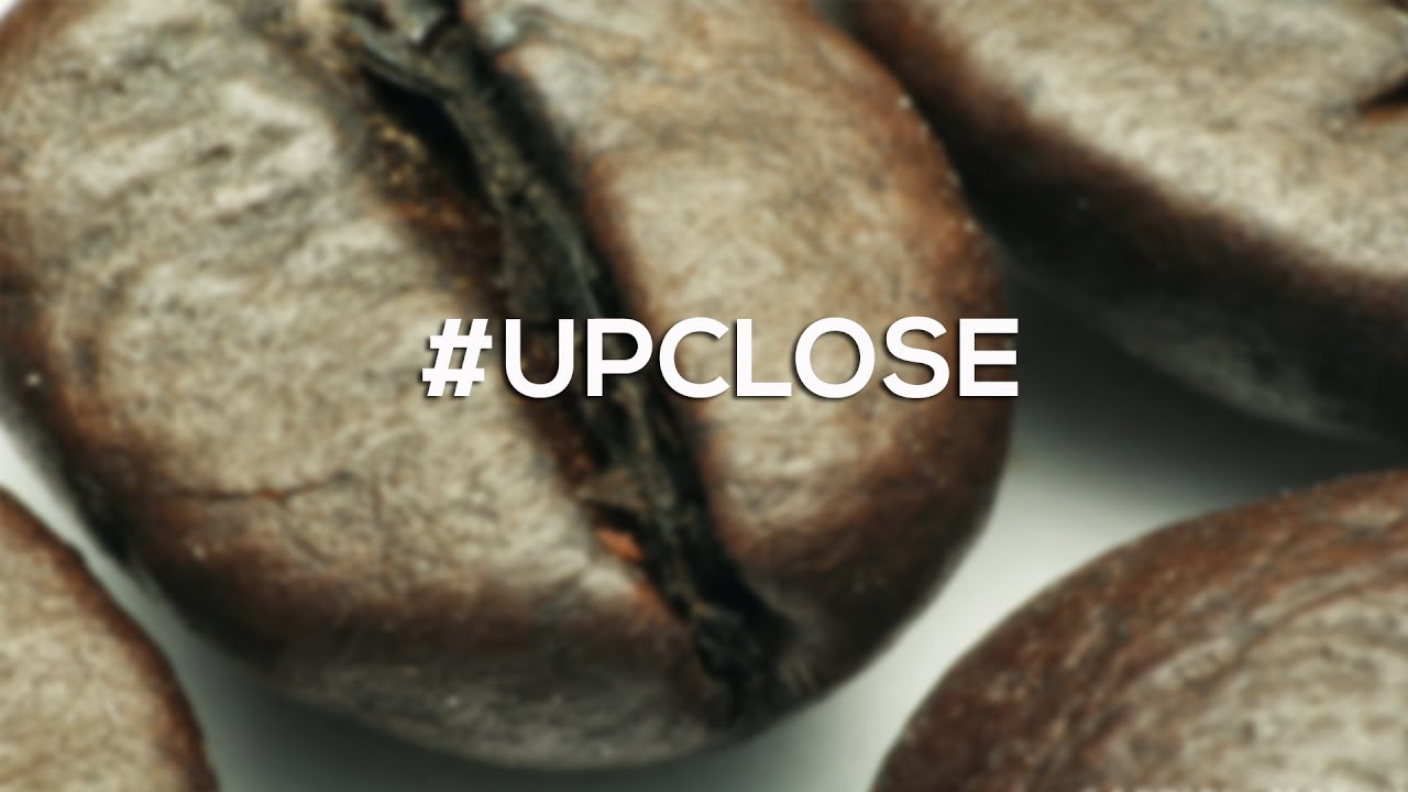 UPCLOSE - How to Shoot Indoor Macro Photography (Reversed Lens)