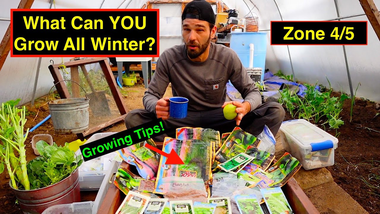 DIY WINTER GREENHOUSE GARDENING ZONE 4/5 COLD WEATHER GROWING - NO COSTLY BILLS $$
