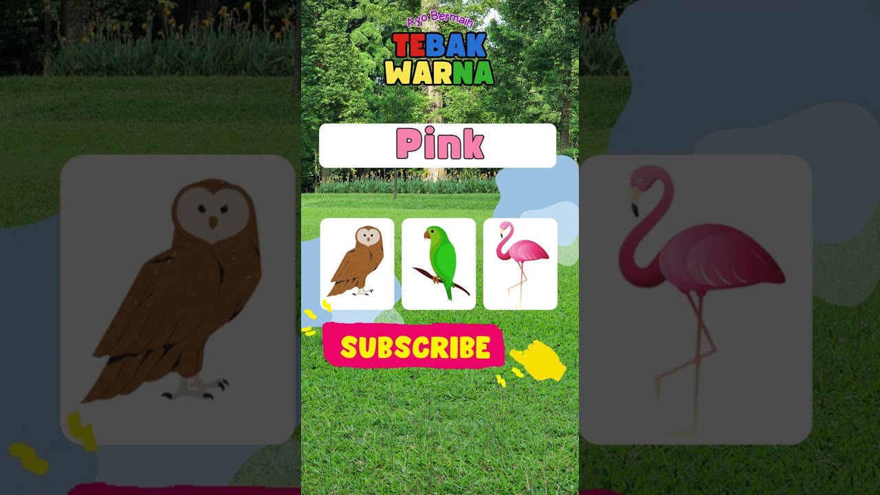 Tebak warna burung #tebakgambar #tebakwarna #burung #warna #pink
