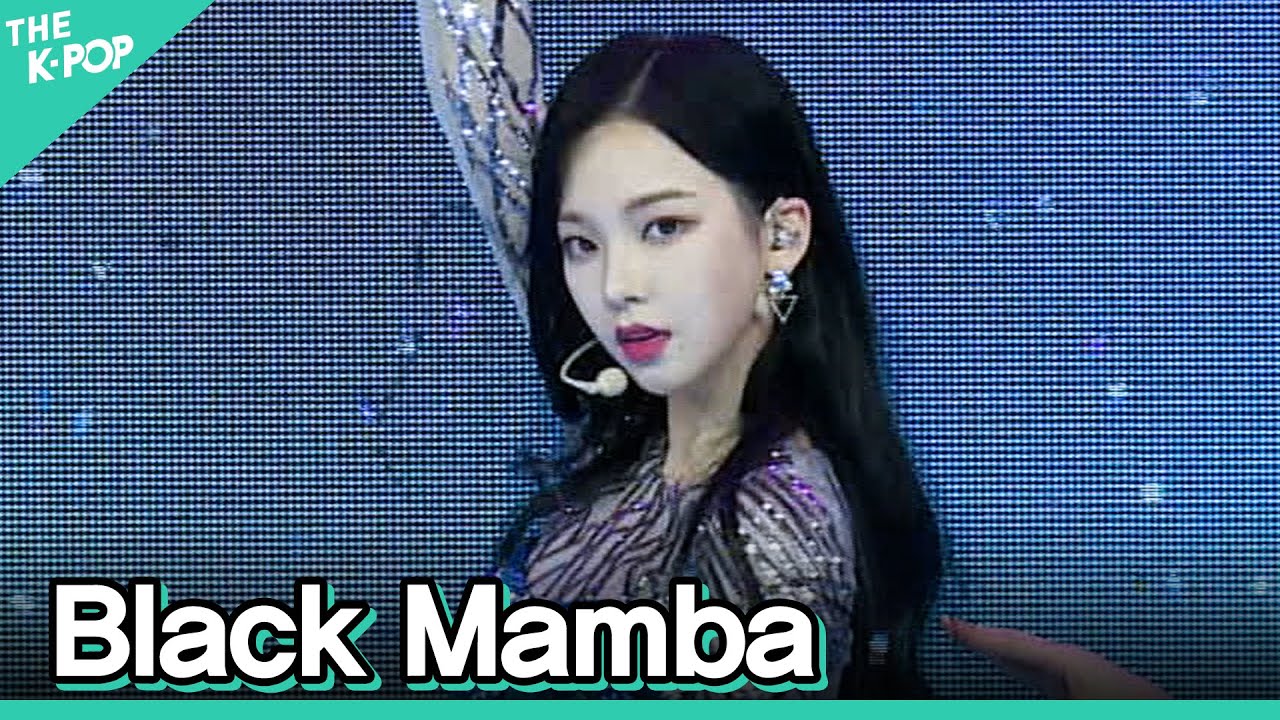 [세로 직캠] 에스파(aespa) - Black Mamba 카리나 FOCUS | KOREA-UAE K-POP FESTIVAL