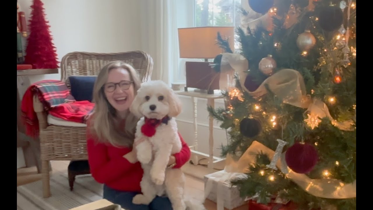 Château de la Grifferaie Christmas Update 2025