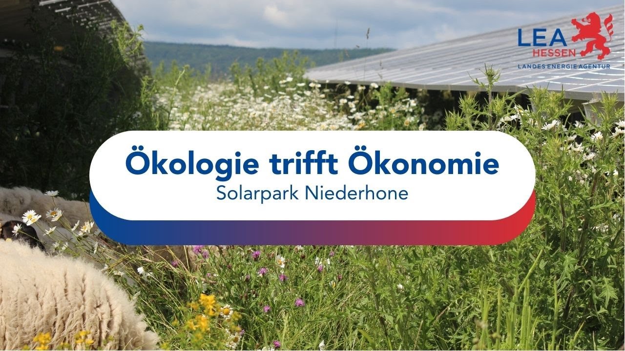 Ökologie trifft Ökonomie: Solarpark Niederhone in Nordhessen