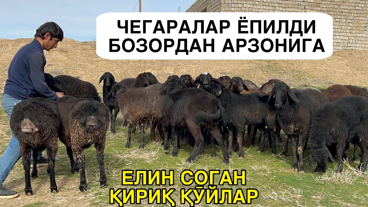 АРЗОНИГА МАНА ИМКОНИЯТ. ☎️+998979540478