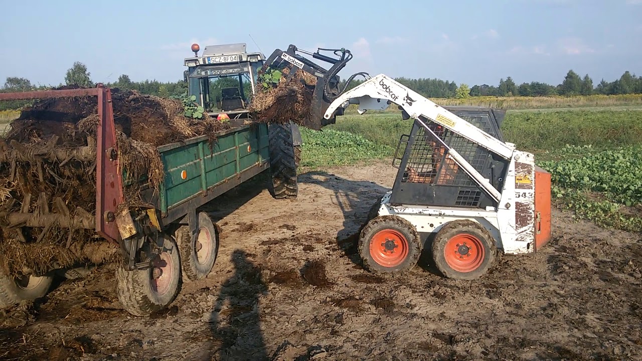 Bobcat 543 załadunek obornika