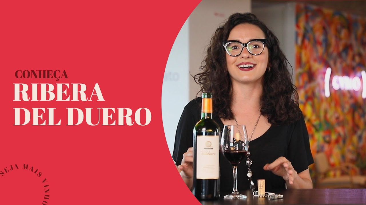 VINHO ESPANHOL: CONHE&Ccedil;A RIBERA DEL DUERO