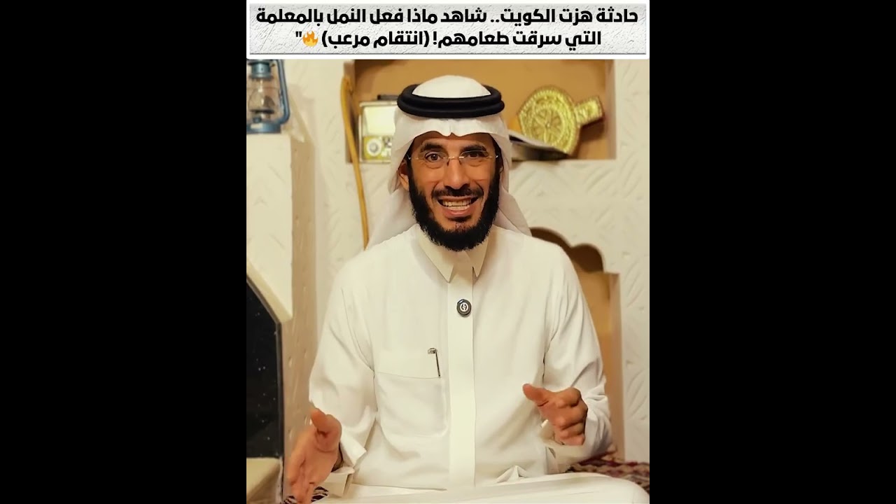 حادثة هزت الكويت   شاهد ماذا فعل النمل بالمعلمة التي سرقت طعامهم! انتقام مرعب 🔥(قصص علي التميمي)
