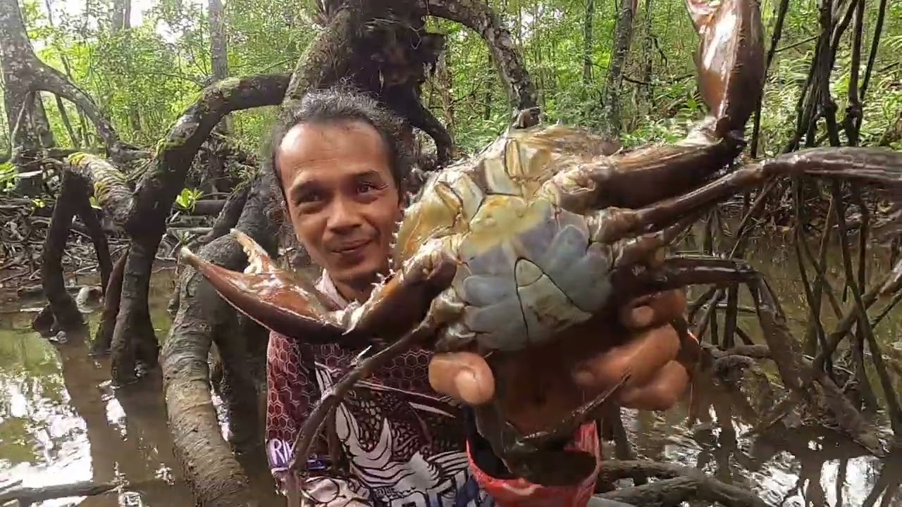 BERBURU KEPITING...DISPOT ANDALAN...!!!